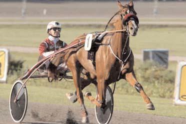 675 Torvald Palema e. Alf Palema 7 1.661.635 Everest Ås e. Conway Hall 6 1.474.500 Triton Sund e. Viking Kronos 5 1.470.788 Intoxicated e. Coktail Jet 6 1.148.500 Taylor Boko e. Express Ride 4 722.