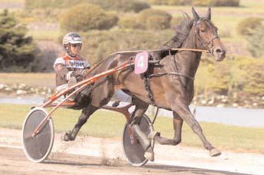 102 Makhtoub Jet e. Coktail Jet 6 1.877.708 Gentleman e. Gentle Star 6 1.806.192 Luxury Ås e. Pine Chip 6 1.508.680 Spring Ray e. Gentle Star 7 1.174.000 Improve Ås e. Tagliabue 4 1.169.