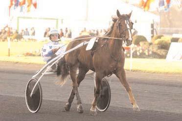239 Digger Crown (7) e. Lindy s Crown 8 3.685.367 Tsar d Inverne (5) e. Arnaqueur 5 3.638.518 Naglo (5) e. Coktail Jet 5 3.438.838 Steinlager* (6) e. Good As Gold 3 2.905.000 Super Light (6) e.