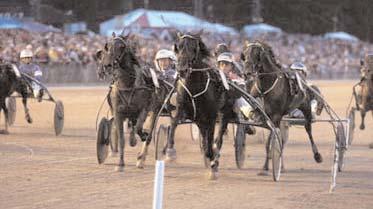 Segrare: hingst 4 år e. Alf Palema-Gazette Håleryd. Ägare: Gard Invest AB, Årjäng. Uppfödare: Sandberg Thord & Gunilla. Tränare: Horpestad Tom, Årjäng Totalisatoromsättning: 1.803.418 kr. Odds: 14,55.