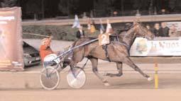 000 61 Uhrberg Thomas 3 Minnesota 15,8 212.500 68 Svanstedt Åke 4 Marleen Ås 15,9 102.000 190 Goop Björn 5 Amanda Celeber 15,9 68.000 171 Wallin Kjell 6 Terrific Step 16,1 42.