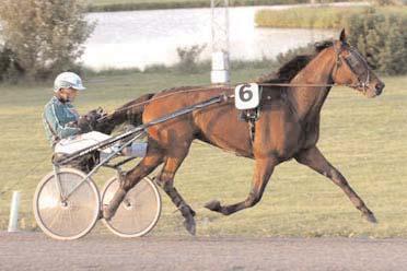 Snabbaste 3-åriga ston Snabbaste varmblod Infanta Svenskfödda Utlandsfödda Flying Young S 29/11 1640 *1.14,5 Lady Crow Ro 23/10 2140 *1.15,7 La Chapelle Sk 25/9 2140 *1.15,9 Toscana J 4/9 2160 1.
