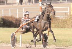 Snabbaste varmblod Snabbaste 4-åriga ston Giant Diablo (Örjan Kihlström) var glänsande när hon mycket lätt travade 1.11,8 i Fyraåringseliten för ston på Solvalla.