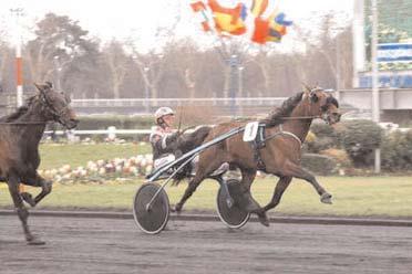 Snabbaste 5-åriga h/v Snabbaste varmblod Naglo (Örjan Kihlström) noterade banrekord 1.10,7/2100a på Vincennes när han segrade i Prix de France. Stefan Hultman sköter träningen.