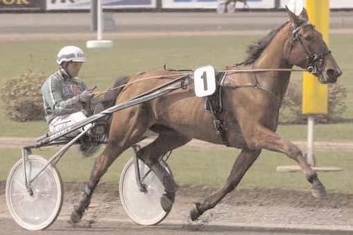 Snabbaste 5-åriga ston Snabbaste varmblod Starlight blev snabbaste 5-årssto både i volt- och autostart! Svenskfödda Utlandsfödda Starlight J 6/7 1660 *1.11,8 Ingrid Palema Å 9/9 1640 1.