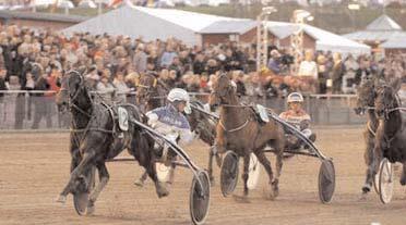Insatslopp 4-åringar Konung Gustaf V:s Pokal (Gr I Int) Åby 8 maj. Lätt bana. 1.787.960 kr. 2140 m. 1 Luxury Ås 13,7 893.980 34 Lindberg Lars 2 Dumle Loss 13,7 446.