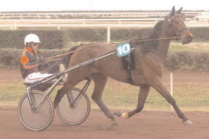 Snabbaste äldre ston Snabbaste varmblod Yatzy Brodda prövade på hetluften i Frankrike och travade 1.10,7 i det slagna fältet bakom Kesaco Phédo i Criterium de Vitesse i Cagnes-ser-Mer.