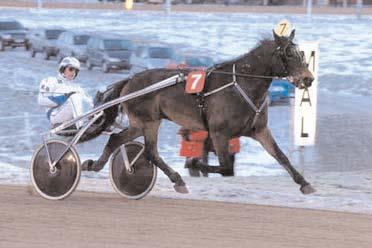 Snabbaste 5-åriga h/v Snabbaste kallblod Logårds Rigel (Robert Bergh) Svenskfödda Utlandskfödda Järvsömolle År 17/7 2160 1.24,8 Troll Kevin H 10/5 2160 1.26,7 Logårds Rigel H 26/7 1640 1.