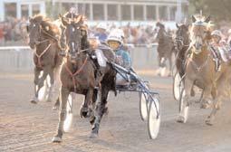 Snabbaste 5-åriga ston Snabbaste kallblod Lykkeli Svenskfödda Utlandskfödda Lundås Emelie B 16/9 1660 1.28,2 Karbona Ös 25/5 2140 *1.29,3 Orrjahna B 16/9 1660 1.29,3 Norrgårds Stina H 25/6 2140 1.