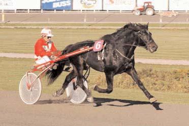 Snabbaste äldre h/v Snabbaste kallblod Rolex K. (Lars I Eriksson) har kommit bra tillbaka 2004 efter ett svagt 2003. Svenskfödda Järvsöfaks (10) B 15/7 1640 *1.21,5 Trollfager (10) B 15/7 1640 1.
