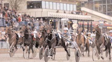 Insatslopp 3-åringar Svenskt Travkriterium (Gr I Nat) Solvalla 3 oktober. Lätt bana. 3.200.000 kr. 2640 m. 1 Conny Nobell 15,2 1.600.000 18 Goop Björn 2 Triton Sund 15,4 800.