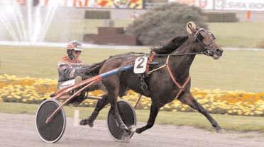 000 93 Johansson Stig H Opl. Earl Tilly 15,8 1342 Jansson Torbjörn No Kidding 15,9 832 Eklöf Bo S.J. s Camera 16,2 740 Kontio Jorma Bon Roc 16,7g 118 Goop Olle Royal Snix 17,5g 289 Frick Jim Thuram dug 413 Adielsson Erik Segrare: hingst 3 år e.