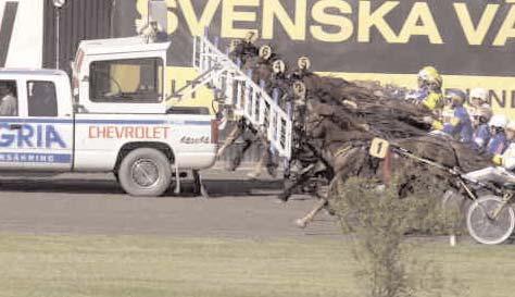 SVENSKA REKORD - Kallblodiga Svenska rekord 3-år kbl h/v Järvsöfaks 1680 1.29,0 G 971028 Sundbo Kravall 2180 1.29,8 Rä 041001 3-år kbl ston Håenmona 1700 1.29,5 G 911021 Gullan Fax 2200 1.