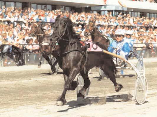 Avelshingstar Elding Vinstrikaste kallblodiga fadershingstar 2004 Avser hingstarnas svenskregistrerade avkommors starter i Sverige och utlandet samt utlandsregistrerades starter på svenska banor.