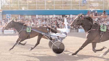 Insatslopp 3-åringar E3-final, öppen klass (Gr I Int) Örebro 21 augusti. Lätt bana. 1.600.000 kr. 1640 m. 1 Conny Nobell 13,6 800.000 29 Goop Björn 2 Everest Ås 13,8 400.