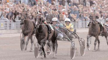 Grupplöpningar Elitloppet, final (Gr I Int) Solvalla 30 maj. Lätt bana. 4.200.000 kr. 1609 m. 1 Gidde Palema 10,0 2.500.000 19 Svanstedt Åke 2 Civil Action* (US) 10,1 1.000.000 868 Leoni Paolo 3 Steinlager* 10,2 400.