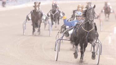 Fräkke Frederik* (DK) 11,3 39 Kjaersgaard Preben Hilda Zonett 11,3 311 Bergh Robert Kesaco Phedo* (FR) dug 21 Bazire Jean Michel Calvin Capar* (IT) dug 584 Sundberg Hans-Owe Segrare: hingst 6 år e.