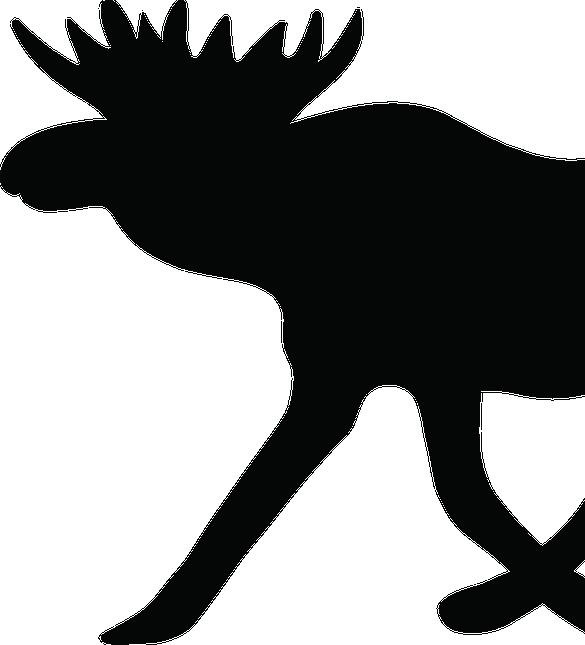 redd på tävling Nybörjarklasser Om redd på tävling egreppet härrör från det projekt Västergötlands OF drev 2012-2015 under namnet reddprojektet.