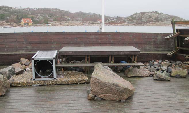 Konsekvenserna har blivit stora skador, framförallt på piren, med höga reparationskostnader. Vi minns väl alla Gudrun och förra året hade vi Egon.