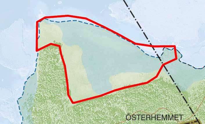 Sjötuna äng 9 ha Ytan är som helhet mycket välbetad. Fågellivet är därmed mycket rikt. När det gäller antal individer och arter står Sjötuna i särklass bland Tåkerns strandängar.