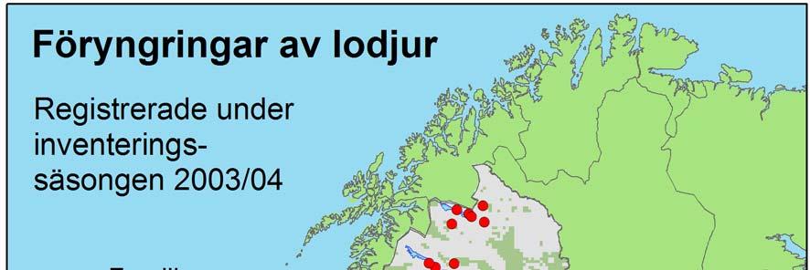 Figur 1. Utbredningen av de 185 föryngringar (familjegrupper) av lodjur som hittades under inventeringen 2003/04.