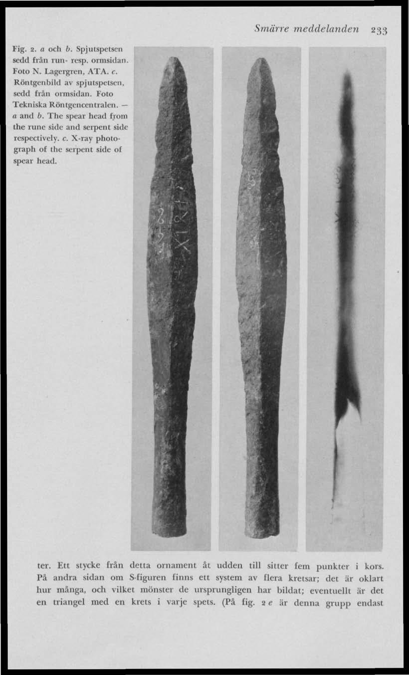 Smärre meddelanden 233 Fig. 2. a och b. Spjutspetsen sedd från run- resp. ormsidan. Foto N. Lagergren, ATA. c. Röntgenbild av spjutspetsen, sedel från ormsidan. Foto Tekniska Röntgcncentralcn.