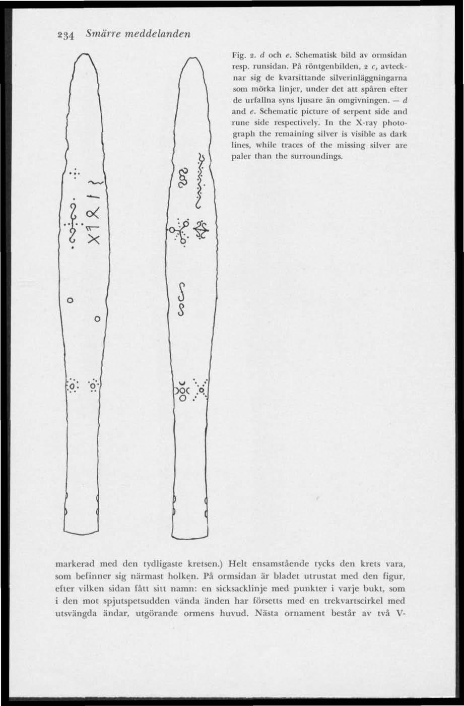 234 Smärre meddelanden Fig. 2. d och e. Schematisk bilel av ormsielan resp. runsidan.