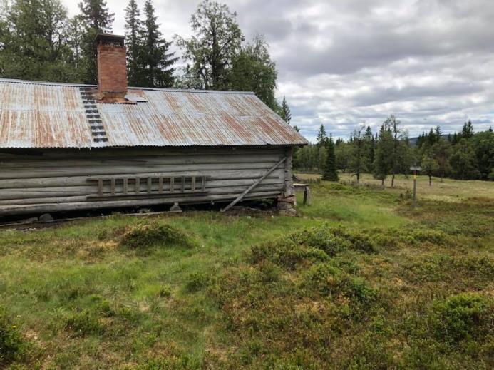 Juni Fäbodvandring på bl a Älvdalens skjutfält.