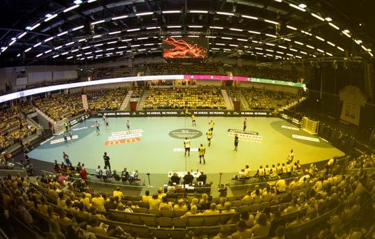 VÄLKOMMEN SOM PARTNER! Sävehof har 1400 ungdomar som leds av 240 ledare. Flickor och pojkar (från 7 år), damer och herrar.