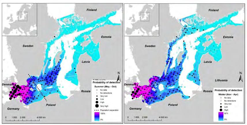Ramboll - Skåne, Öland och Gotland havsvindpark Det kanske viktigaste resultatet från SAMBAH-projektet var att det fanns två populationskluster under sommaren, ett på och omkring de grunda bankarna i