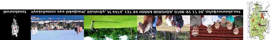 MÅL OCH BUDGET 2009 för Nynäshamns kommun Sorundanet Sorundanet det nya lokalpartiet i Nynäshamns kommun. Vi lyssnar, reagerar och agerar. Vi finns i kommunfullmäktige sedan 2006.