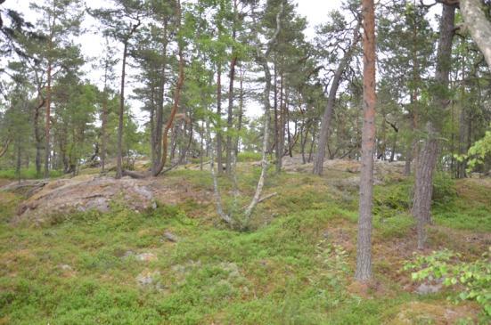 Bilaga 1. Beskrivning av tomtlägen I denna bilaga beskrivs markförhållanden på respektive tomt samt hur avrinning sker från tomten. 6.