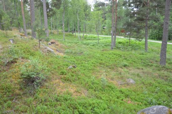 Tomten ligger på berg, med tunna jordlager och berg i dagen på större delen av tomten. Tomten sluttar åt huvudsakligen åt väster, ner mot vägen (Figur 11).