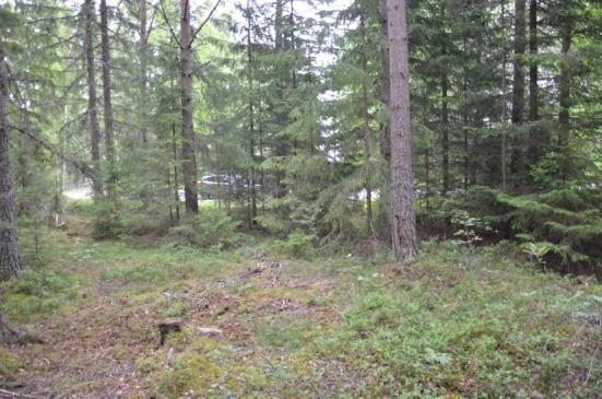 Figur 12. Vy mot sydväst. Figur 13. Vy mot nordost, mot vägen. Figur 14. Avrinning från tomtläge 2 markerat med blå pilar. Tomtläge 2 mottar viss avrinning från en liten höjd strax sydost om tomten.