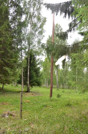 Dagvatten från tomterna 3 och 4 avrinner åt sydost. Söder om tomterna ligger en beteshage.