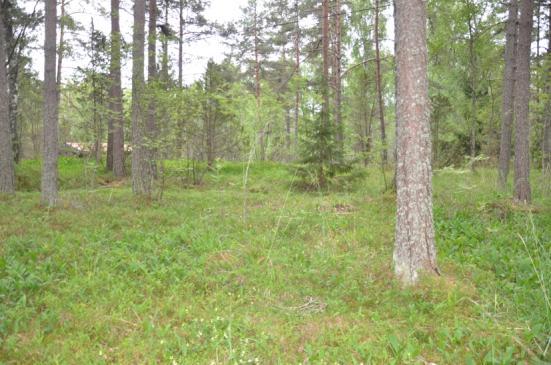 Detta behöver man ta hänsyn till vid placering av byggnader och det kan även finnas behov av att anlägga avskärande dränering/diken om bebyggelsen inte helt kan anpassas så att den inte hamnar i