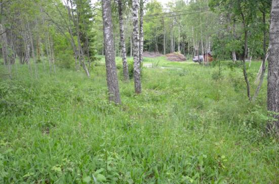 Eventuellt dagvatten som inte omhändertagits inom tomterna kommer att kunna infiltrera i omgivande naturmark nordost om tomterna, och belastar inte vägdikena i området. 6.