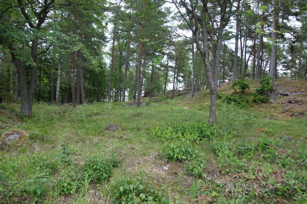 Olofsson 2017-09-12 AQUATER Tel: 08 17 86 33