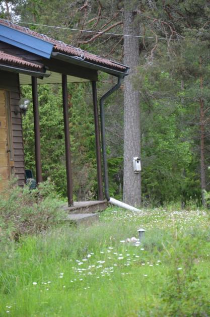 a) b) Figur 5a) Takvatten från stuprör som leds ut på mark. b) Vägdike i området. 3 Dagvatten 3.