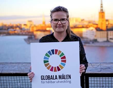 17.1 Stärka den inhemska resursmobiliseringen, inklusive genom internationellt stöd till utvecklingsländerna, för att förbättra den inhemska kapaciteten att ta upp skatter och andra intäkter. 17.