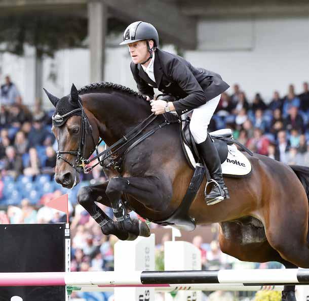 ORGANISATION Singular LS La Silla Chapultepec La Silla - Stakkato - Landadel Godkänd i SWB Hannover AES & Selle Français Äg: Maria & Wivi-Anne Gretzer Foto: Karl-Heinz Frieler SWB övergripande