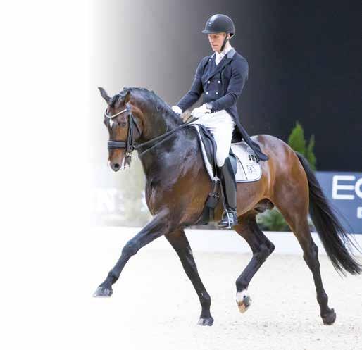 /Anette Sånesson och Emma Thorén Hellsten Årets utmanarhingst DRESSYR Blue Hors Zack Årets utmanarhingst HOPPNING Nintender Kriterier för Årets Utmanarhingst Hingsten ska ha svenskt stamboksnr