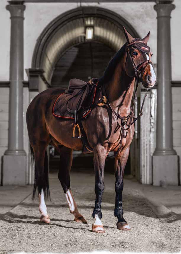 3-ÅRIGA HINGSTAR 9. Laidback Luke WM br Utl. nr. 528003201608479 Vb Reg. nr 04-16-3585 Uppfödare: W.F.M. van Gestel, Haarweg 4, ED Hooge Mierde, Holland Ägare: Gränsbo Stuteri, Johan Ifverson och E.