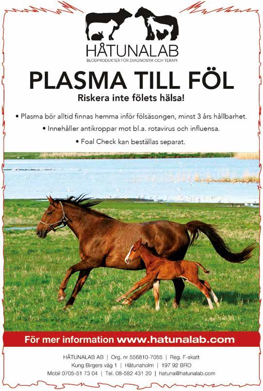 4-ÅRIGA HINGSTAR 16. Dantes Specter sv Utl. nr. DE433330112215 Reg.