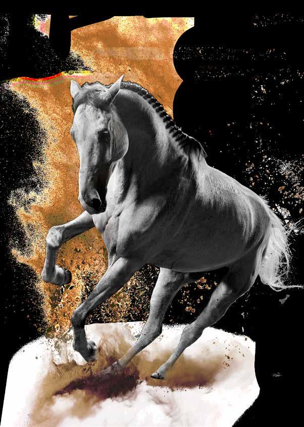 Hon har bland annat lämnat Blue Hors Loxana i Grand Prix dressyr. Hon har också lämnat en avkomma med placeringar i Svår dressyr och en med meriter i Msv hoppning. 35.