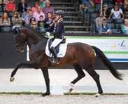 6392 Stb Furioso II 330433665; 310062765 Gogo Moeve H.311332775 Nimmerdor 147 Stb Wozieta 80.