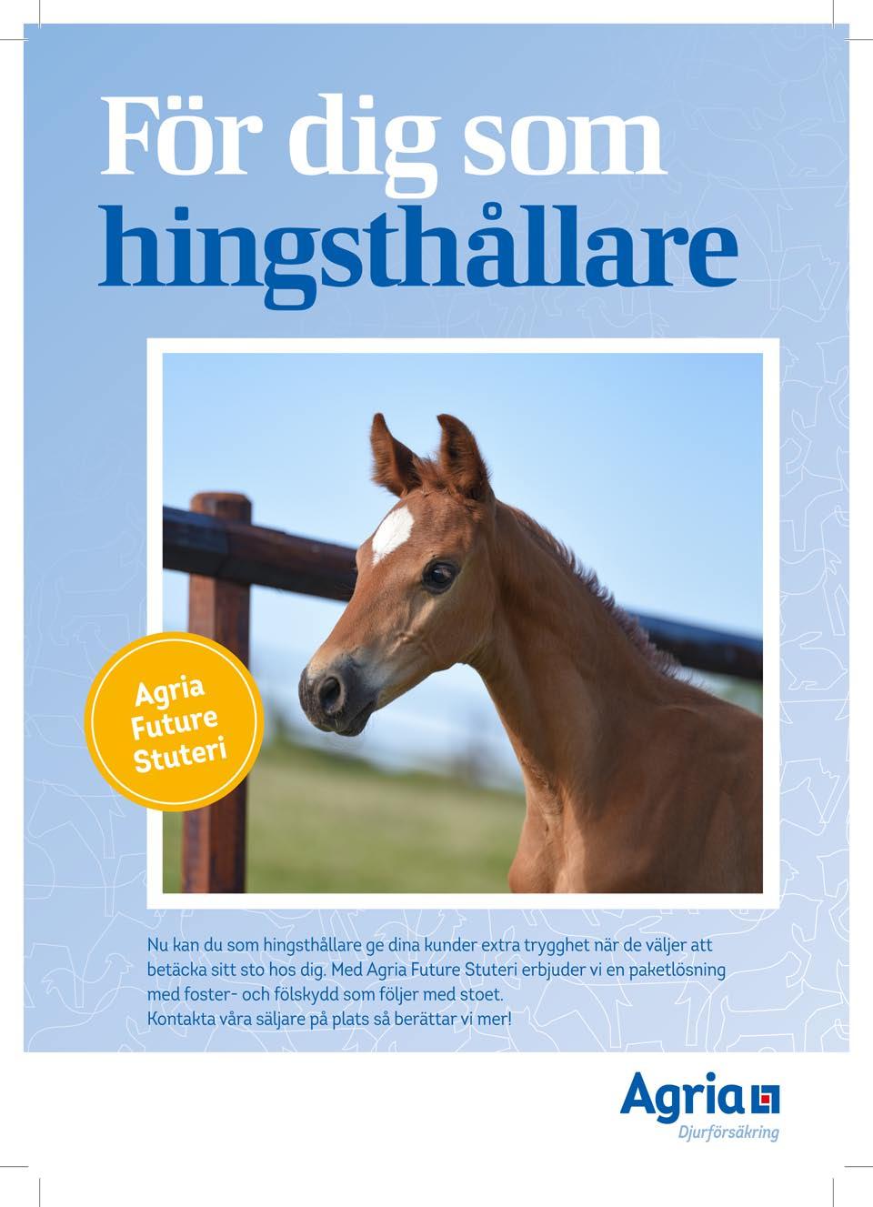 HINGSTAR 2019 3-ÅRINGAR 1. 2M2 Jason Bourne...37 2. Atmosphere SH (SWB)...37 3. Bordeaux...38 4. Cape Canaveral HE (SWB)...38 5. Chini con Omnes F (SWB)...39 6. Dandelon WCB (SWB)...39 7.