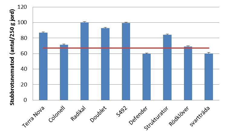 Figur 11. Antal stubbrotsnematoder/250 g jord (medel + SE) i A vid försökets slut.