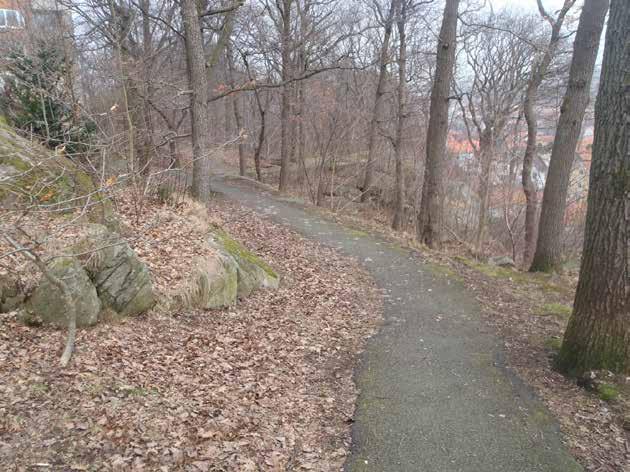 22 (25) Foto 15. Den norra delen av den östra bergsbranten.