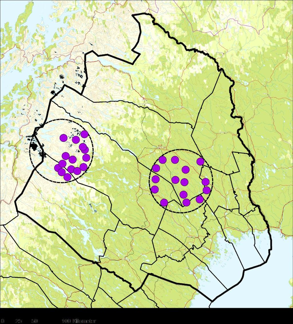 kungsörnars beteende. Inventerare ska också ha teoretisk kunskap i och praktisk vana av att åldersbestämma boungar och flygga årsungar (se bilaga 1).